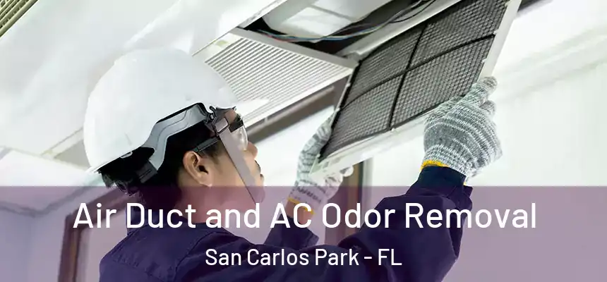 Air Duct and AC Odor Removal San Carlos Park - FL