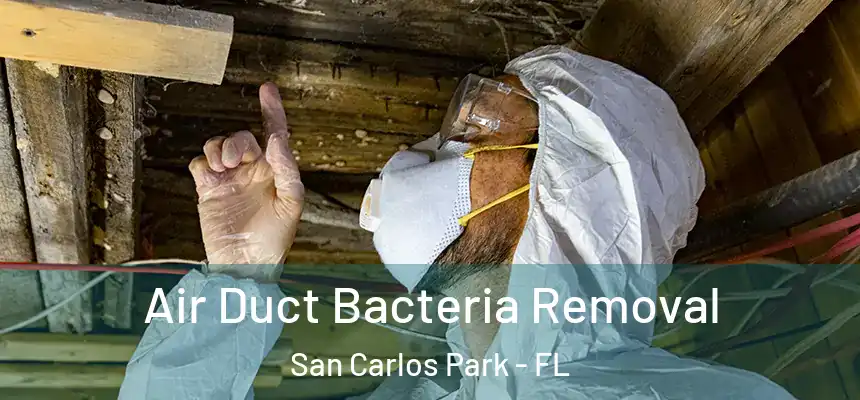 Air Duct Bacteria Removal San Carlos Park - FL
