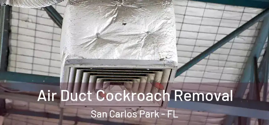 Air Duct Cockroach Removal San Carlos Park - FL