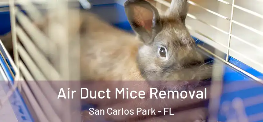 Air Duct Mice Removal San Carlos Park - FL