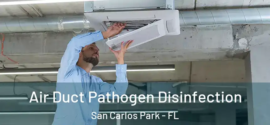 Air Duct Pathogen Disinfection San Carlos Park - FL