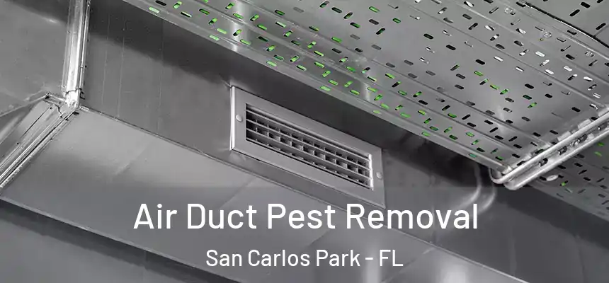Air Duct Pest Removal San Carlos Park - FL