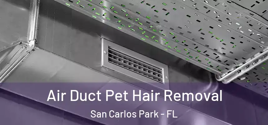 Air Duct Pet Hair Removal San Carlos Park - FL
