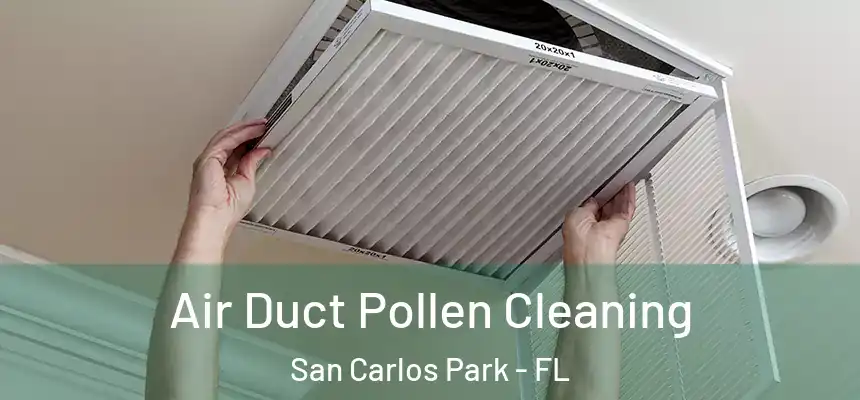 Air Duct Pollen Cleaning San Carlos Park - FL