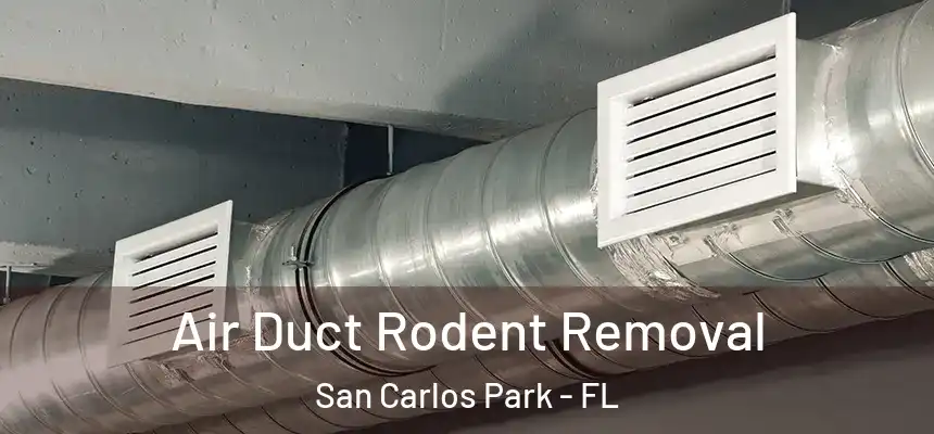 Air Duct Rodent Removal San Carlos Park - FL