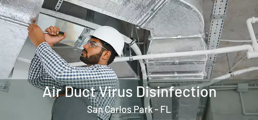 Air Duct Virus Disinfection San Carlos Park - FL