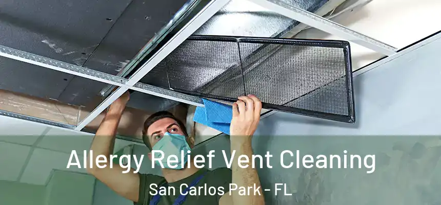 Allergy Relief Vent Cleaning San Carlos Park - FL