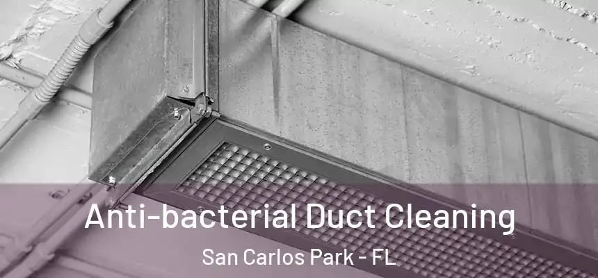 Anti-bacterial Duct Cleaning San Carlos Park - FL