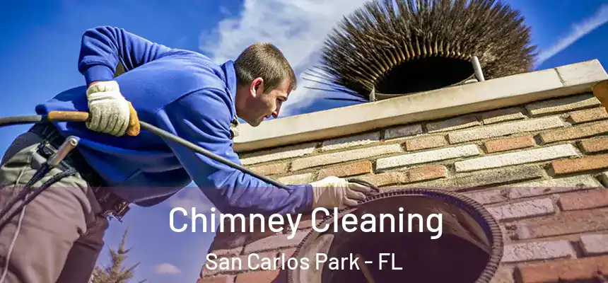 Chimney Cleaning San Carlos Park - FL