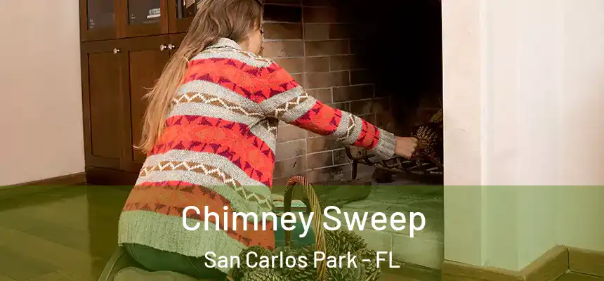 Chimney Sweep San Carlos Park - FL