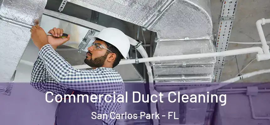 Commercial Duct Cleaning San Carlos Park - FL