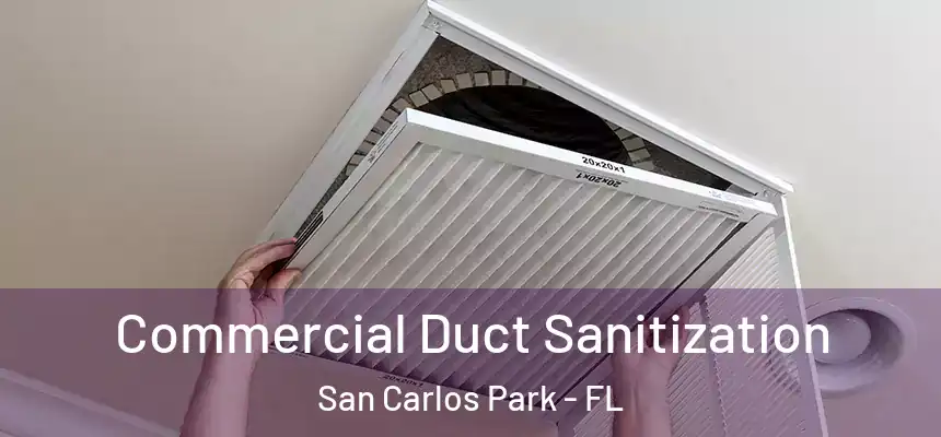 Commercial Duct Sanitization San Carlos Park - FL