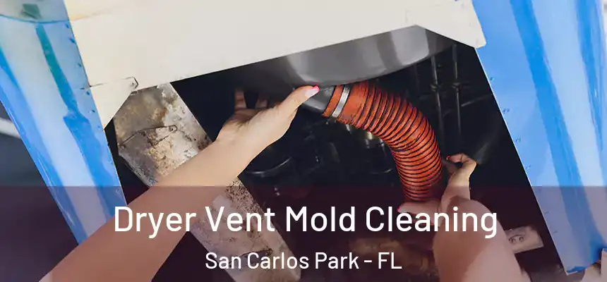 Dryer Vent Mold Cleaning San Carlos Park - FL