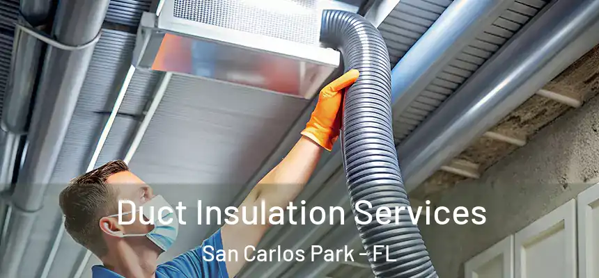 Duct Insulation Services San Carlos Park - FL