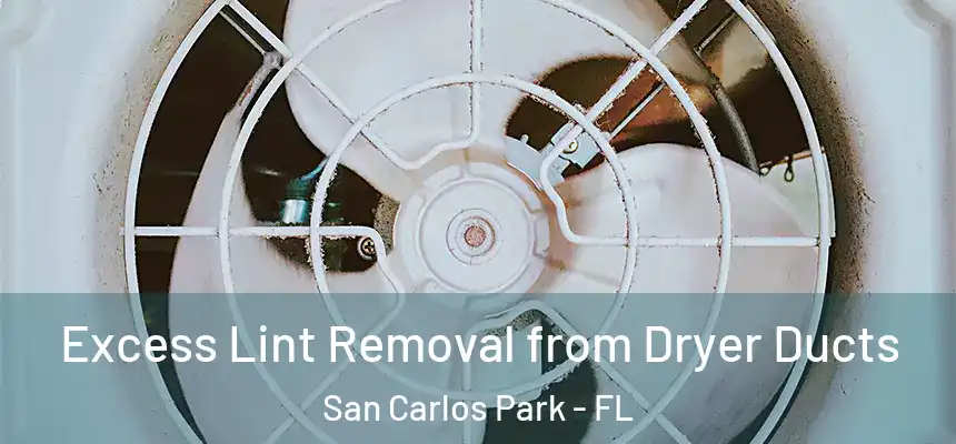 Excess Lint Removal from Dryer Ducts San Carlos Park - FL