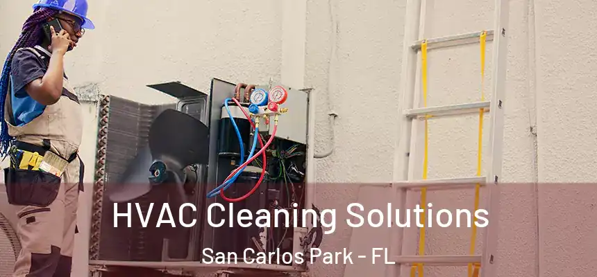 HVAC Cleaning Solutions San Carlos Park - FL