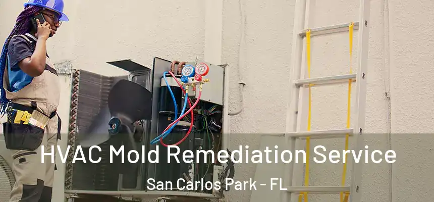 HVAC Mold Remediation Service San Carlos Park - FL