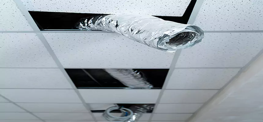 Our Air Duct Pet Hair Removal Services in San Carlos Park, FL