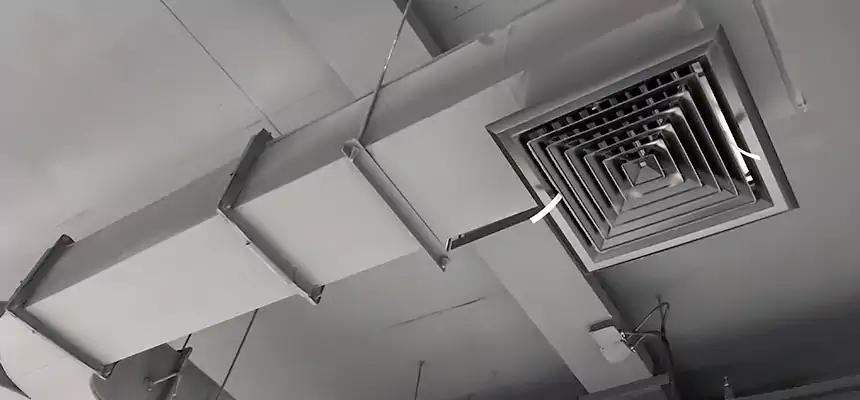 Restorative Allergy Relief Vent Cleaning – Coil, Blower & Housing Detail in San Carlos Park