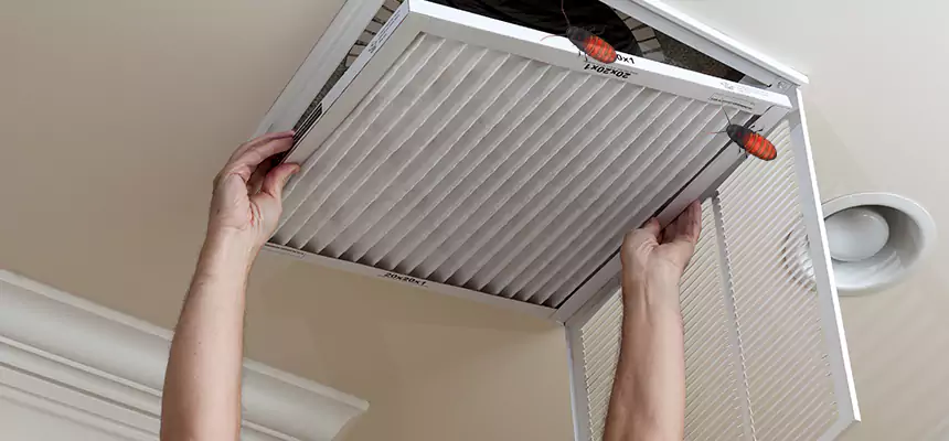 Our Insect Removal from Air Ducts Services in San Carlos Park, FL