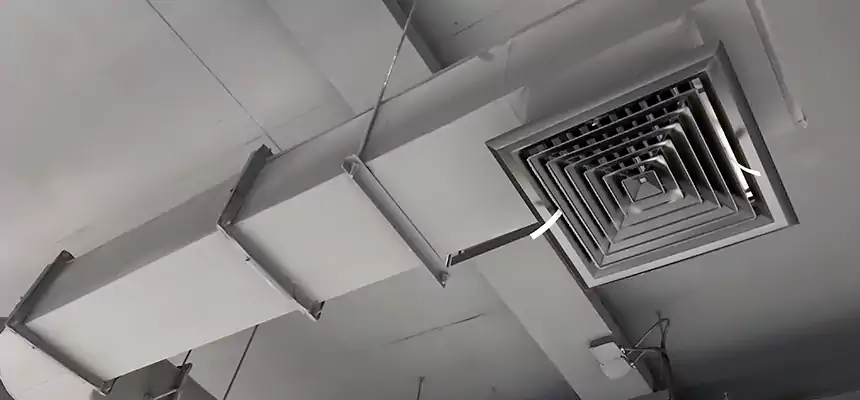 Our Pest Removal From Ducts Services in San Carlos Park, FL