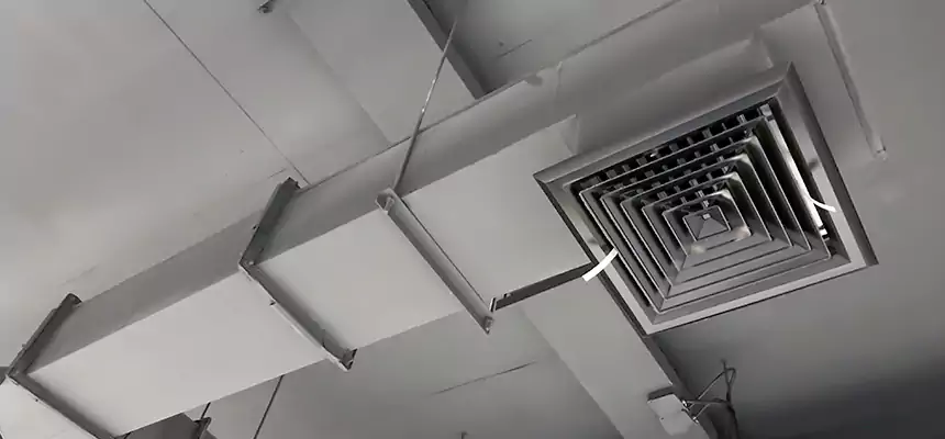 Our Rodent Droppings In Vents Services in San Carlos Park, FL