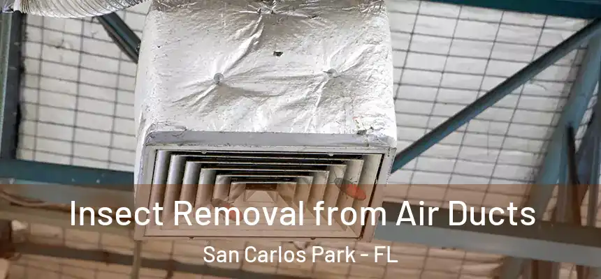 Insect Removal from Air Ducts San Carlos Park - FL