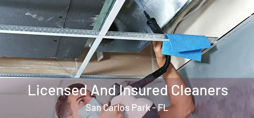 Licensed And Insured Cleaners San Carlos Park - FL