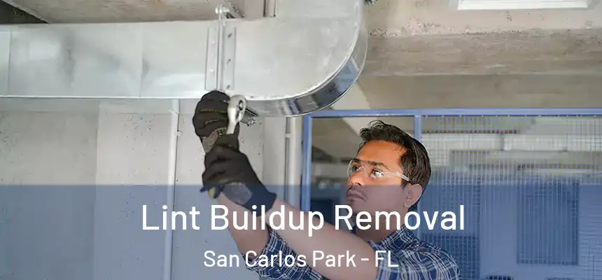 Lint Buildup Removal San Carlos Park - FL