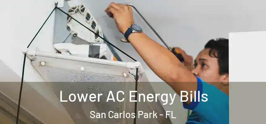Lower AC Energy Bills San Carlos Park - FL