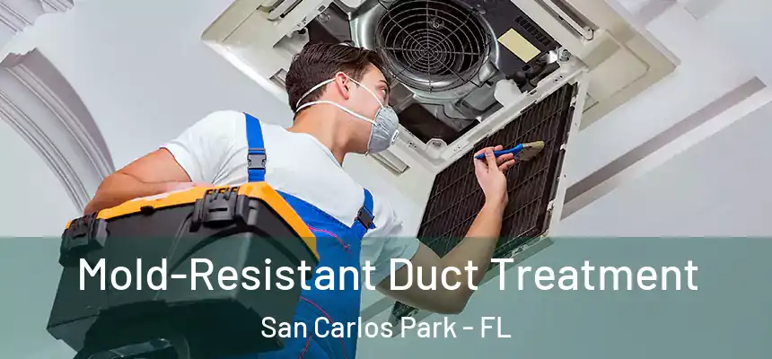 Mold-Resistant Duct Treatment San Carlos Park - FL