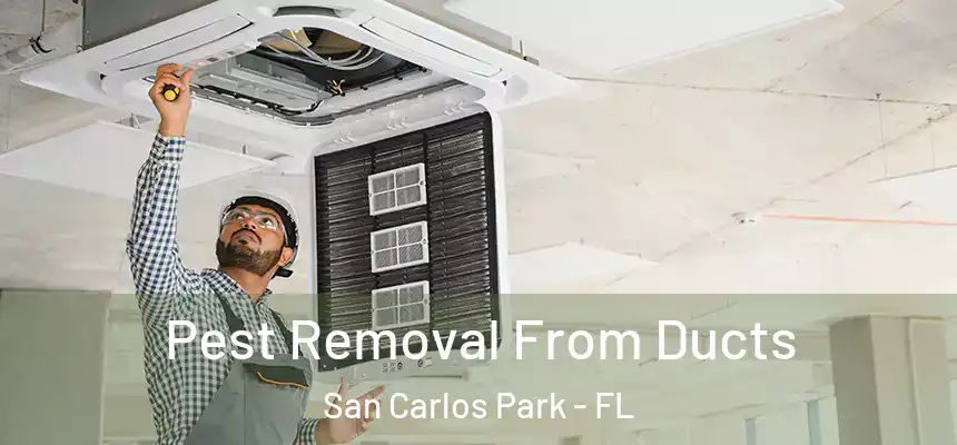 Pest Removal From Ducts San Carlos Park - FL