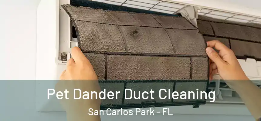 Pet Dander Duct Cleaning San Carlos Park - FL