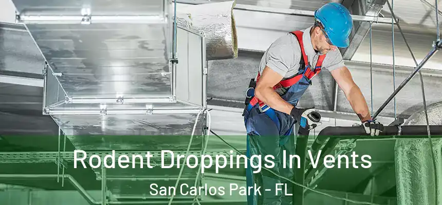 Rodent Droppings In Vents San Carlos Park - FL