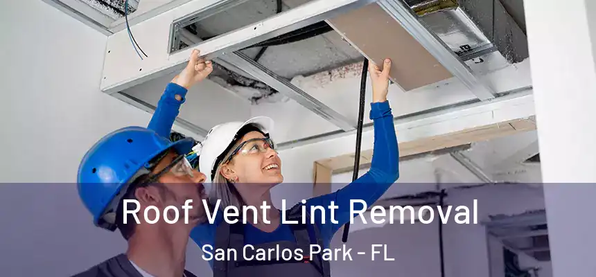 Roof Vent Lint Removal San Carlos Park - FL