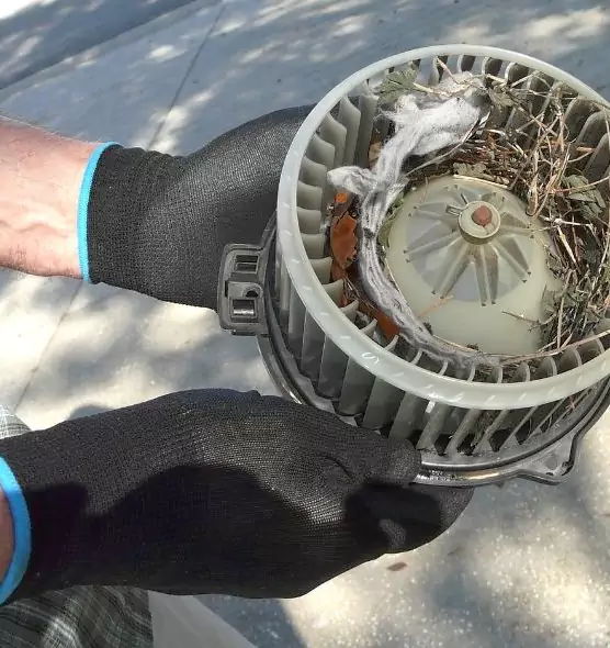 About Air Duct Mice Removal in San Carlos Park, FL