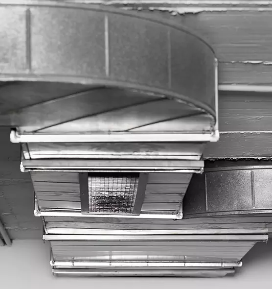 Professional Air Duct Pet Hair Removal in San Carlos Park, FL