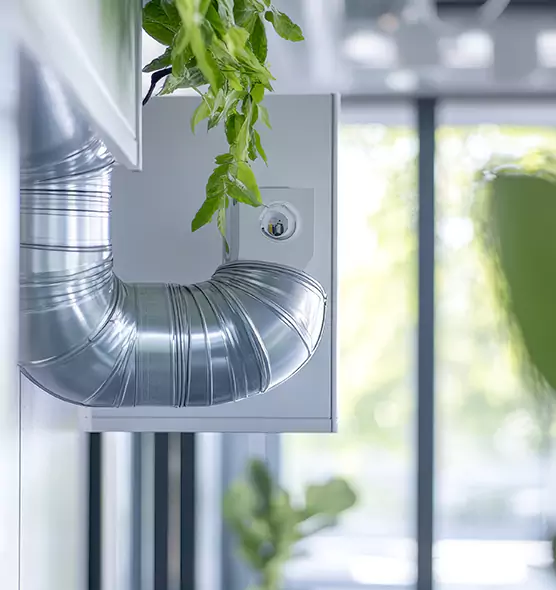 Professional Eco-Friendly Duct Cleaning Services in San Carlos Park, FL