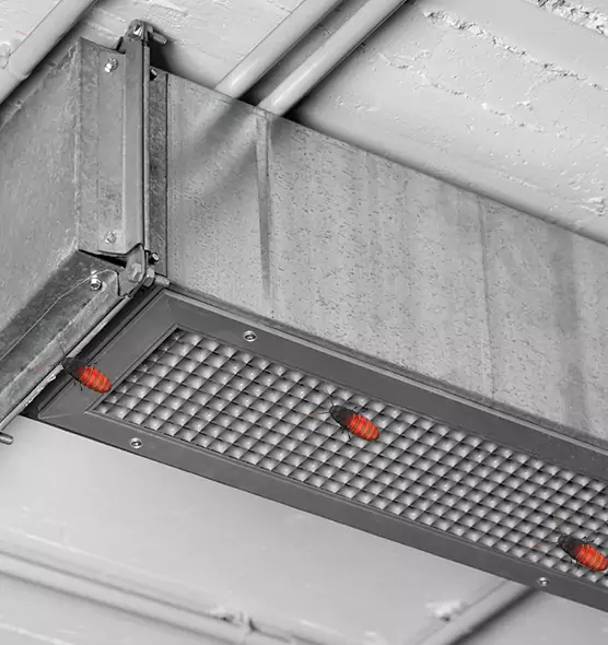 Affordable Insect Removal from Air Ducts in San Carlos Park, FL