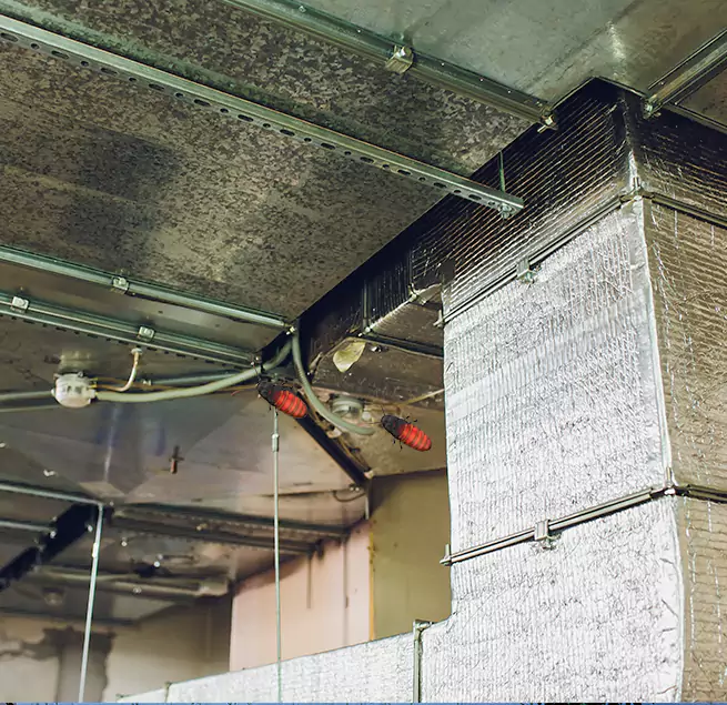 Why Homeowners & Businesses Trust Us in San Carlos Park, FL?