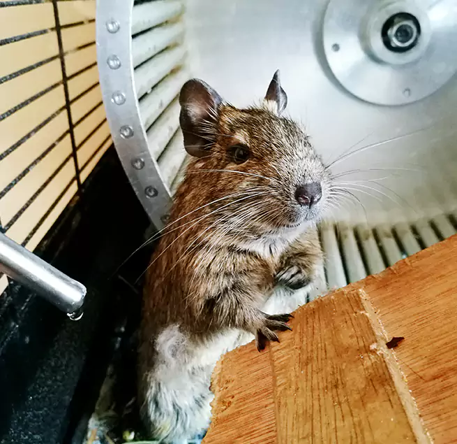 Why Homeowners & Businesses Trust Us San Carlos Park, FL