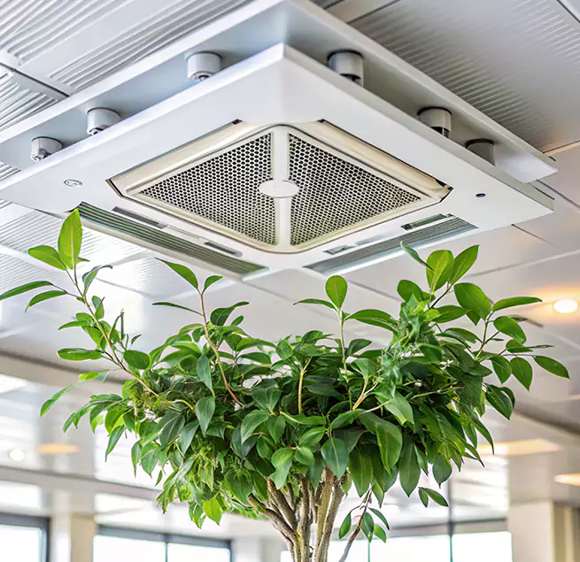 Why Homeowners & Businesses Trust Us in San Carlos Park, FL?