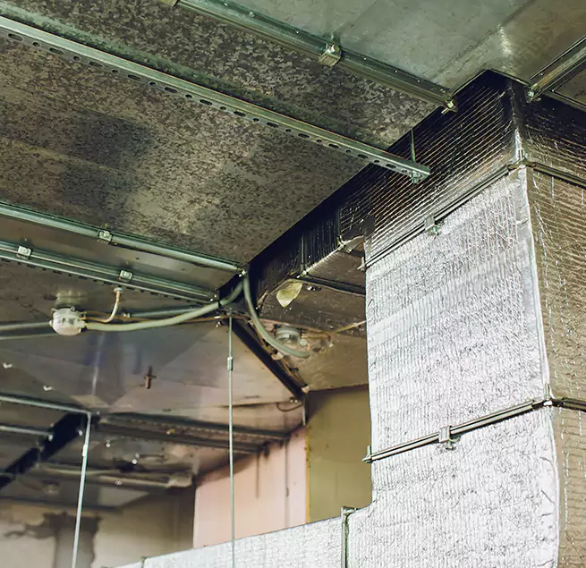 Why Homeowners & Businesses Trust Us in San Carlos Park, FL?